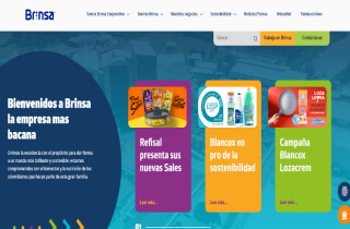 Brinsa Corporativo