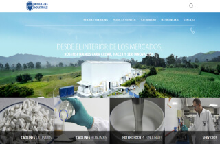 Minerales Industriales